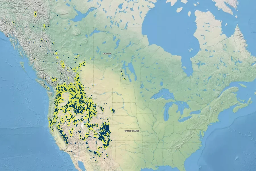 Carex microptera Native Range