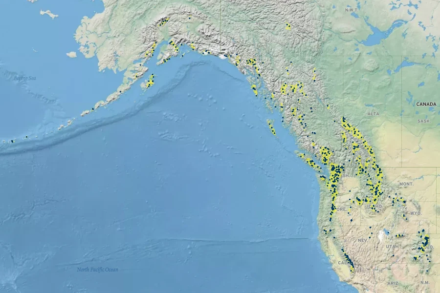 Carex nigricans Native Range