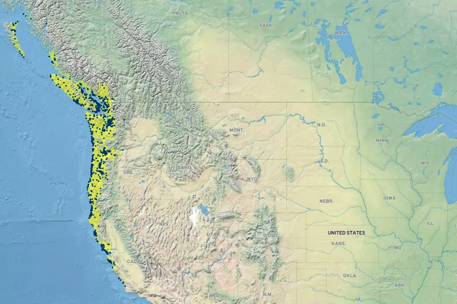 Carex obnupta Native Range