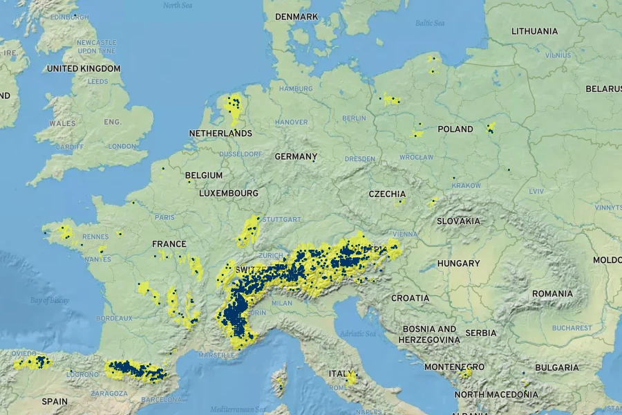 Carex parviflora Native Range