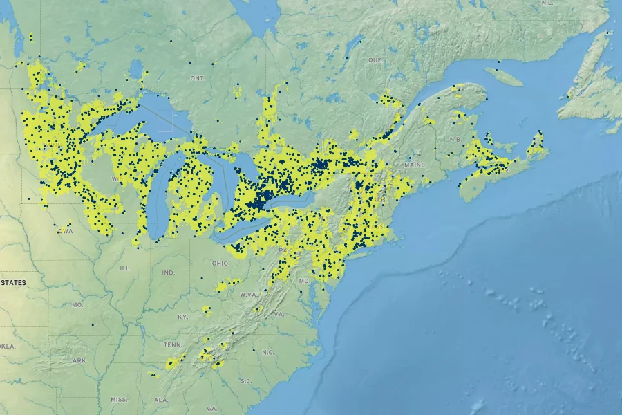 Carex pedunculata Native Range