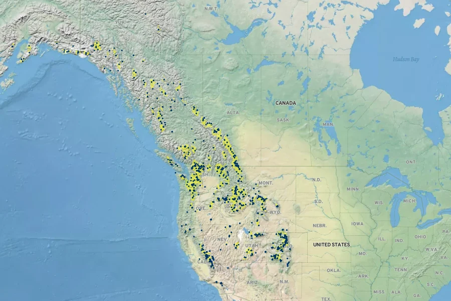 Carex phaeocephala Native Range