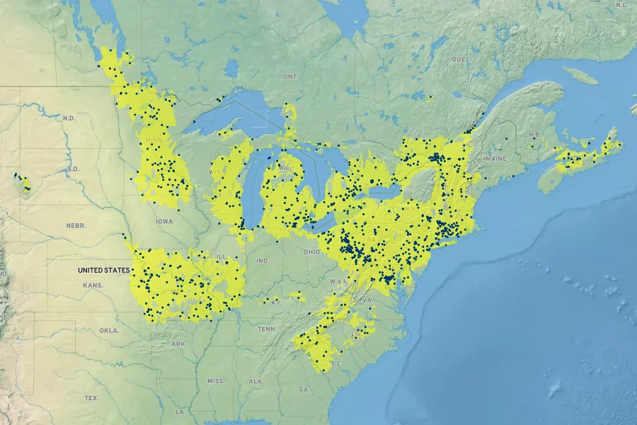 Carex radiata Native Range