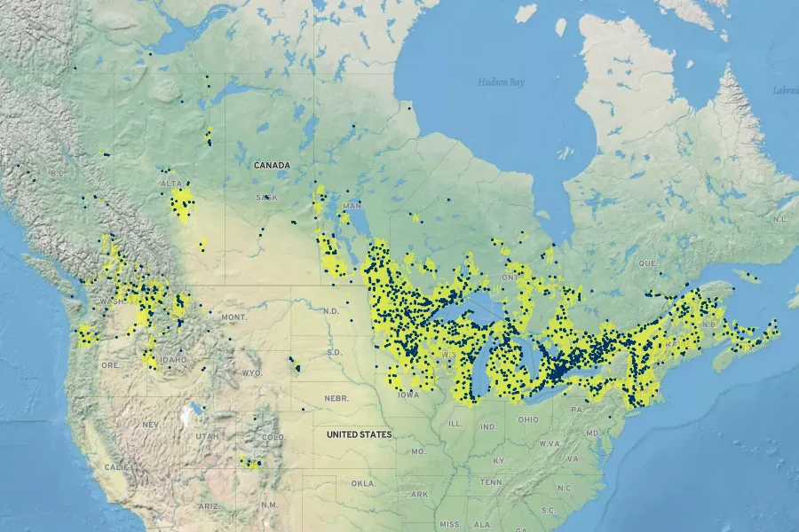 Carex retrorsa Native Range