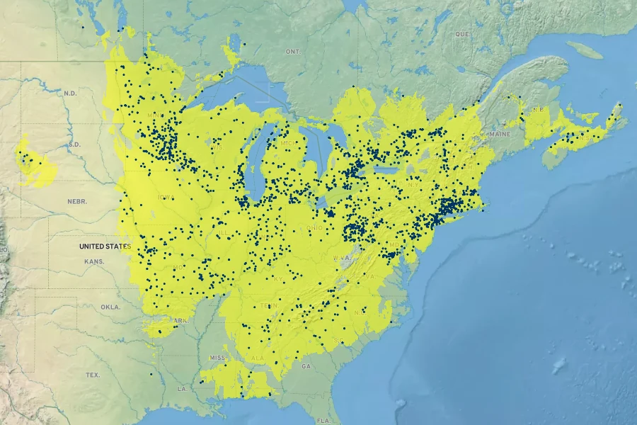 Carex rosea Native Range