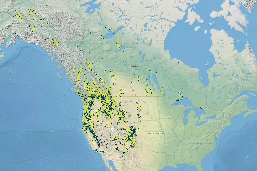 Carex rossii Native Range