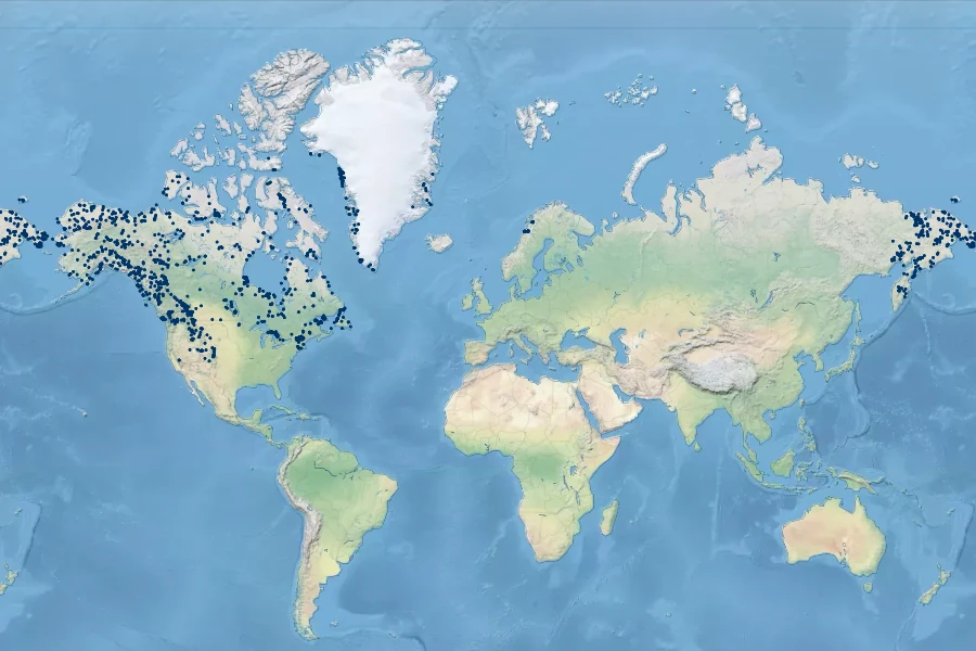 Carex scirpoidea Native Range