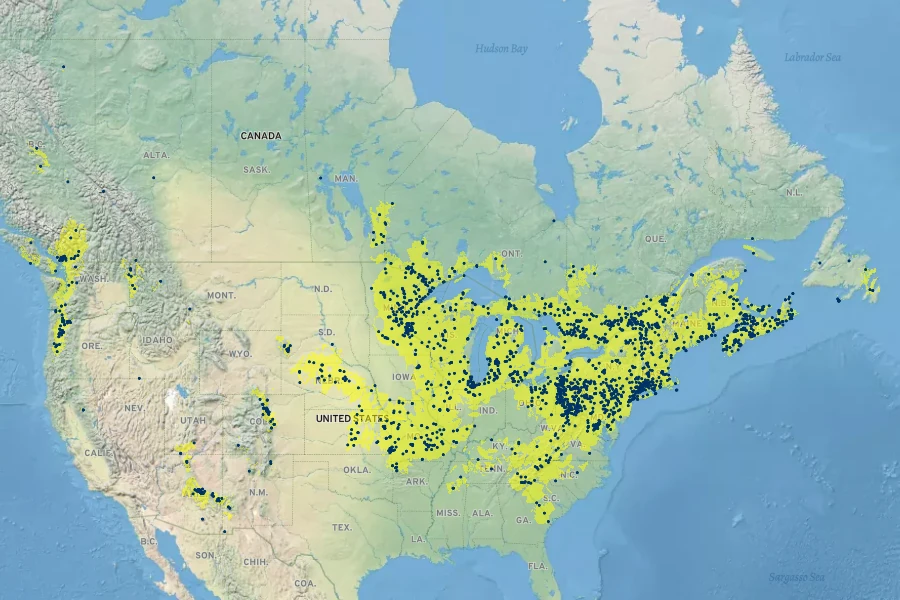 Carex scoparia Native Range