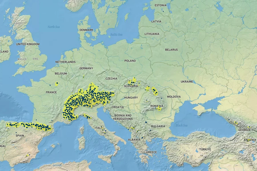 Carex sempervirens Native Range