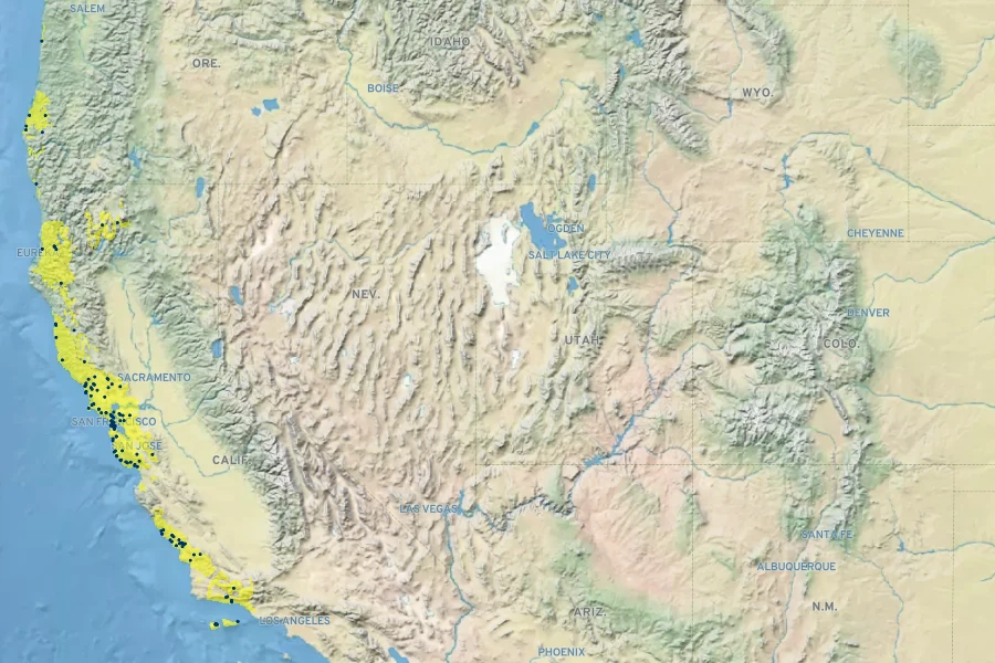Carex subbracteata Native Range