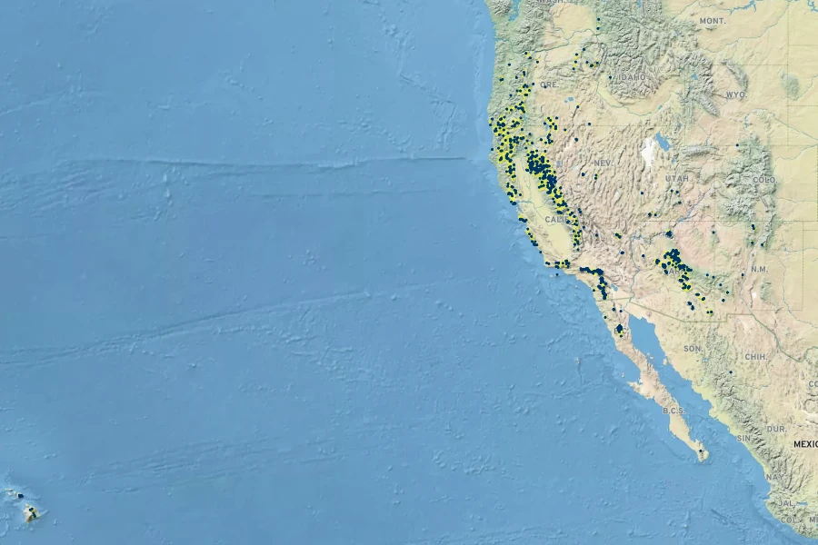 Carex subfusca Native Range