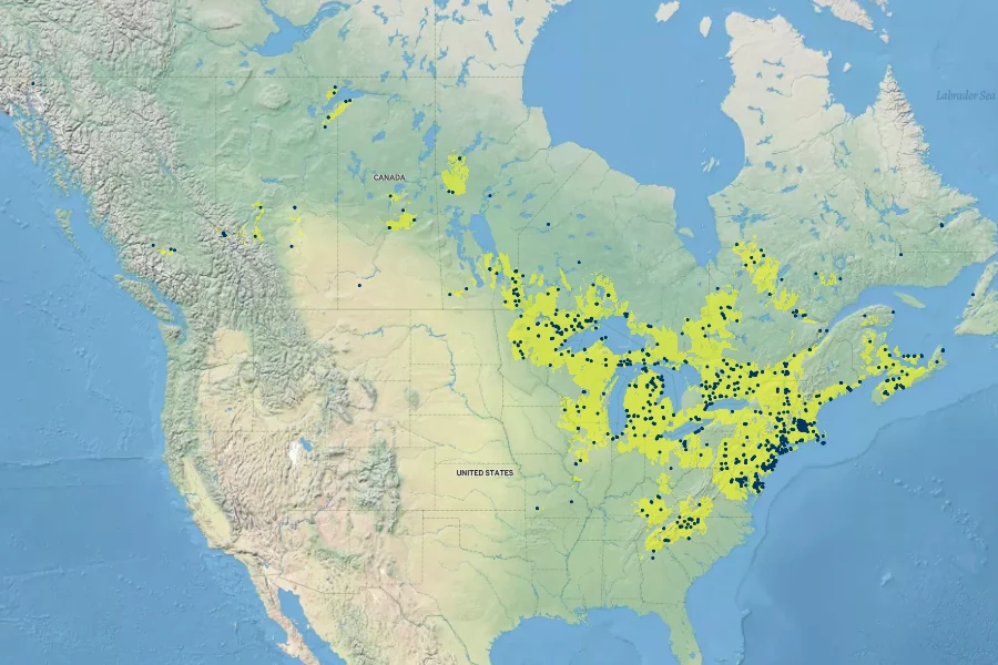 Carex tonsa Native Range