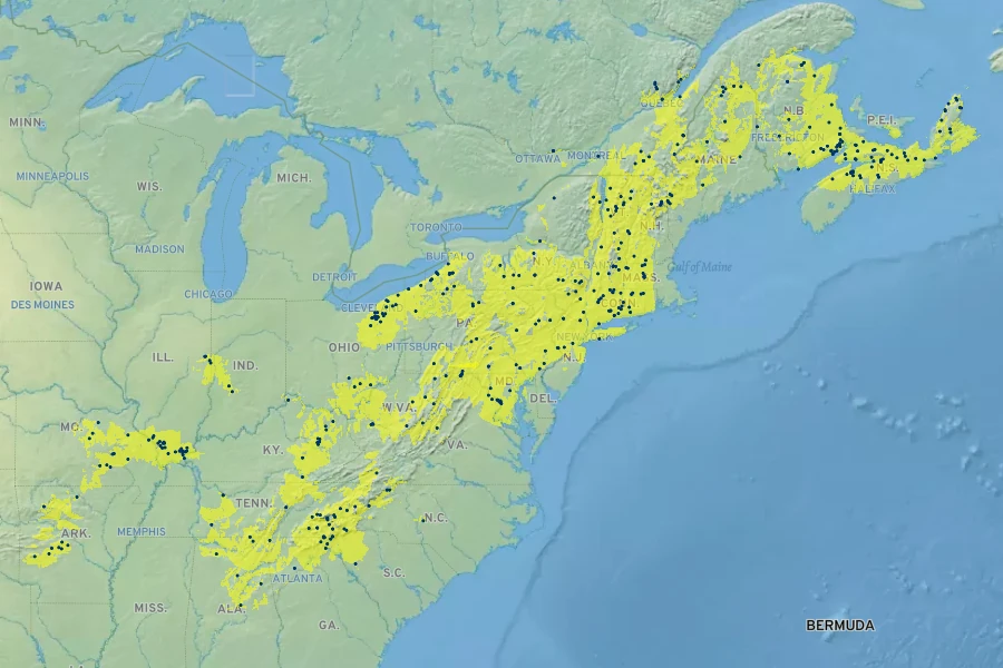 Carex torta Native Range