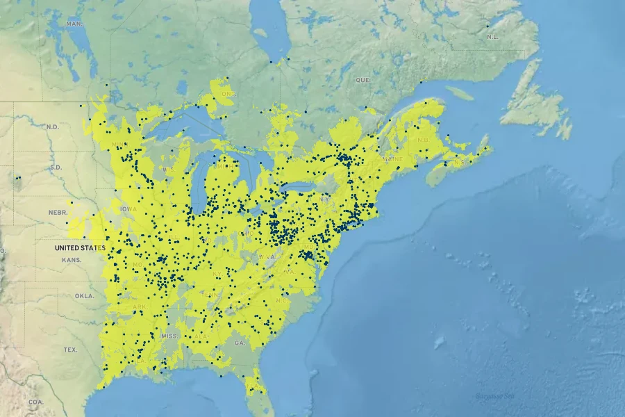 Carex tribuloides Native Range