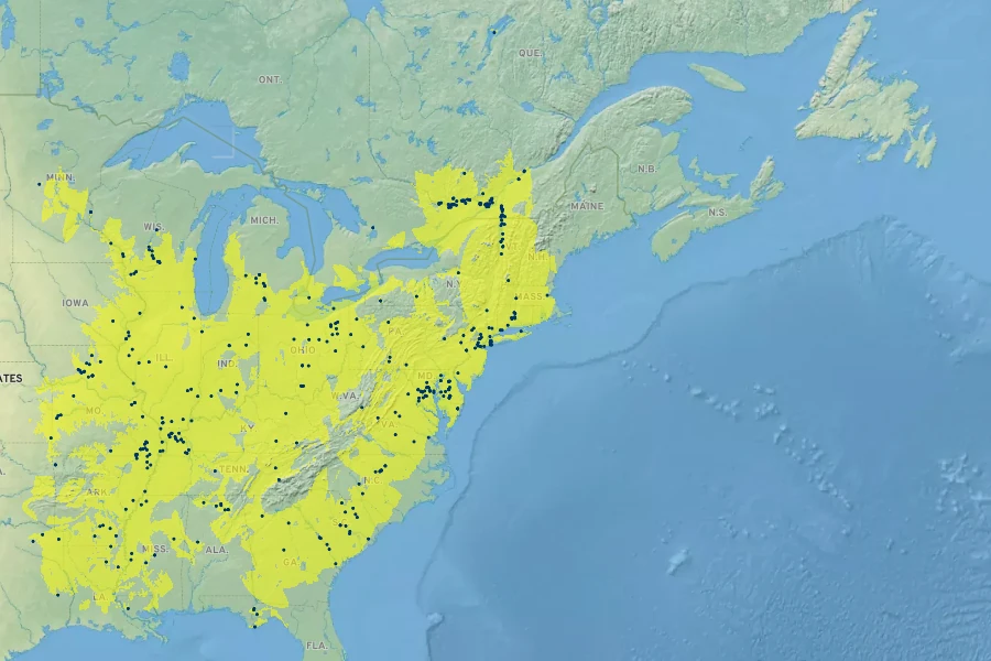 Carex typhina Native Range