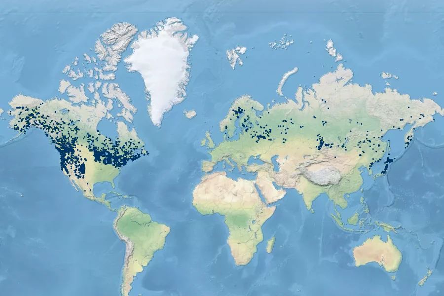 Carex utriculata Native Range