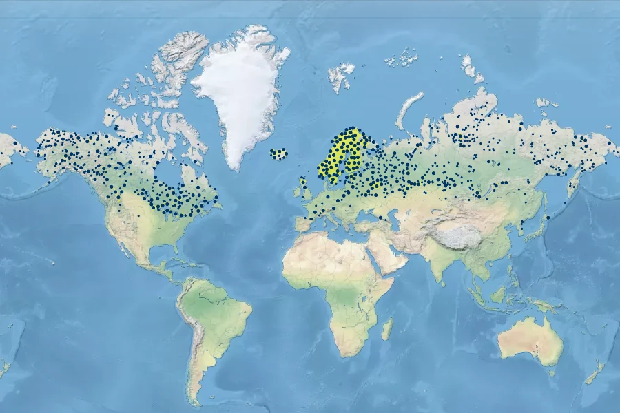 Carex vaginata Native Range