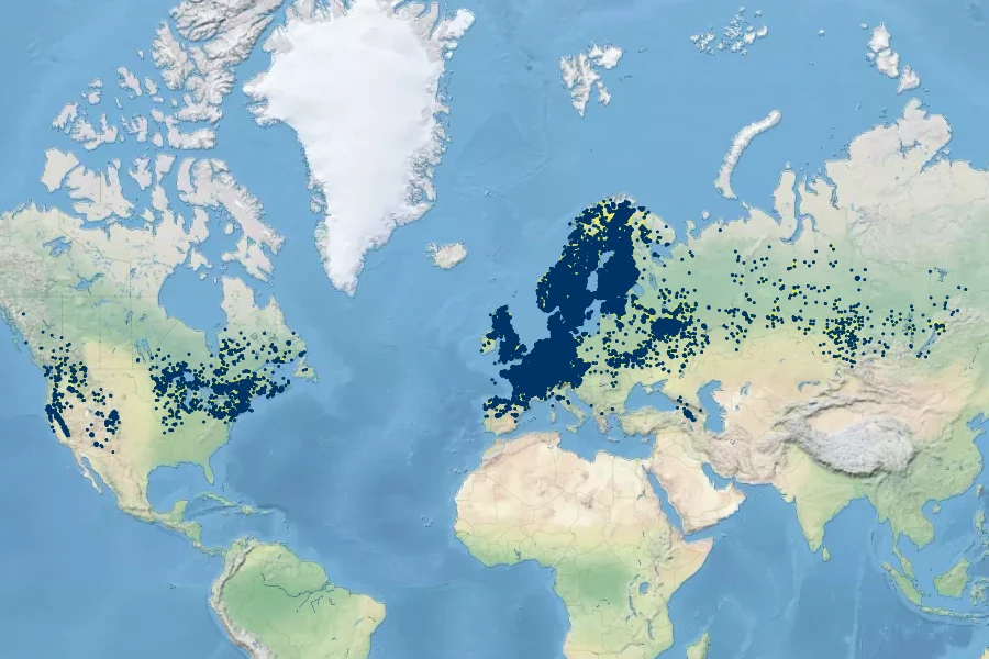 Carex vesicaria Native Range