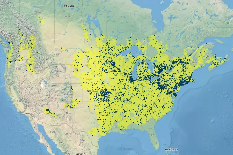 Carex vulpinoidea Native Range
