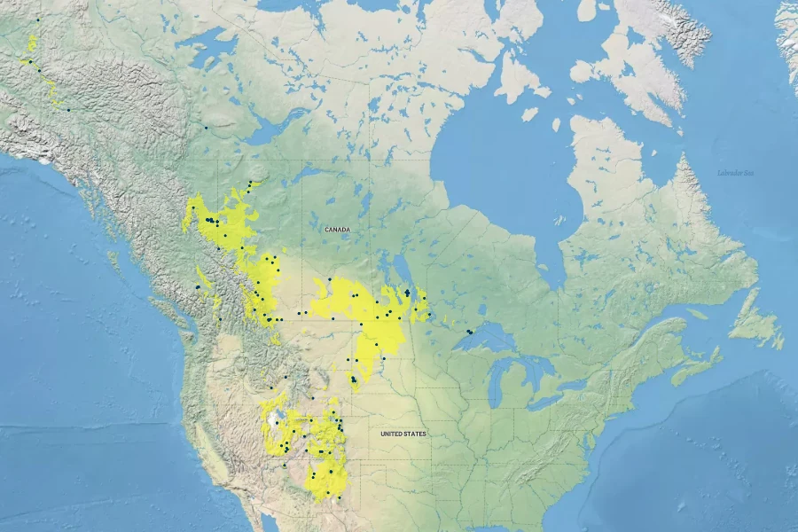 Carex xerantica Native Range
