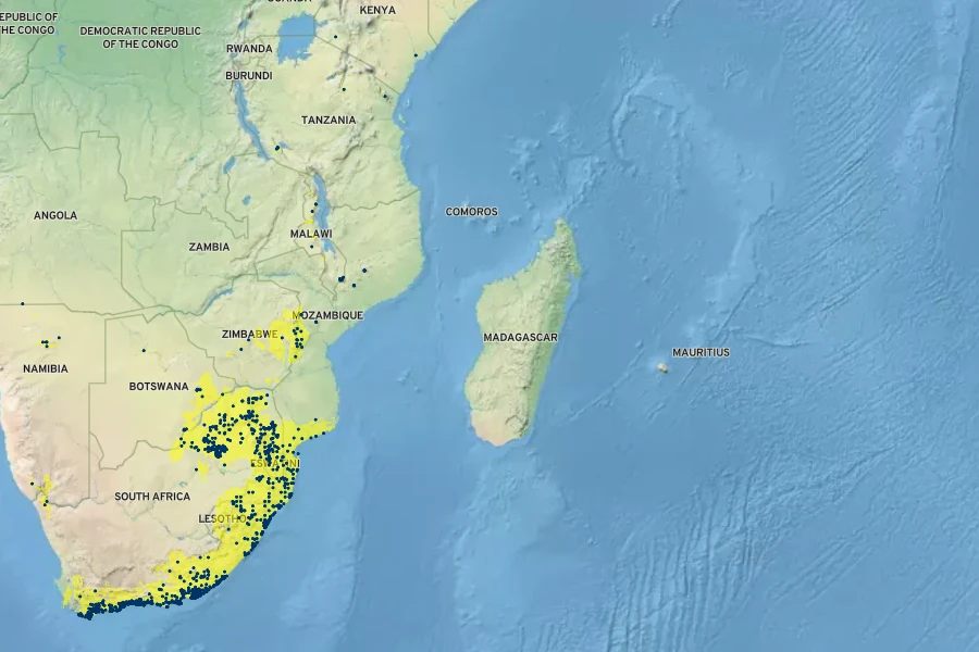 Carissa bispinosa Native Range