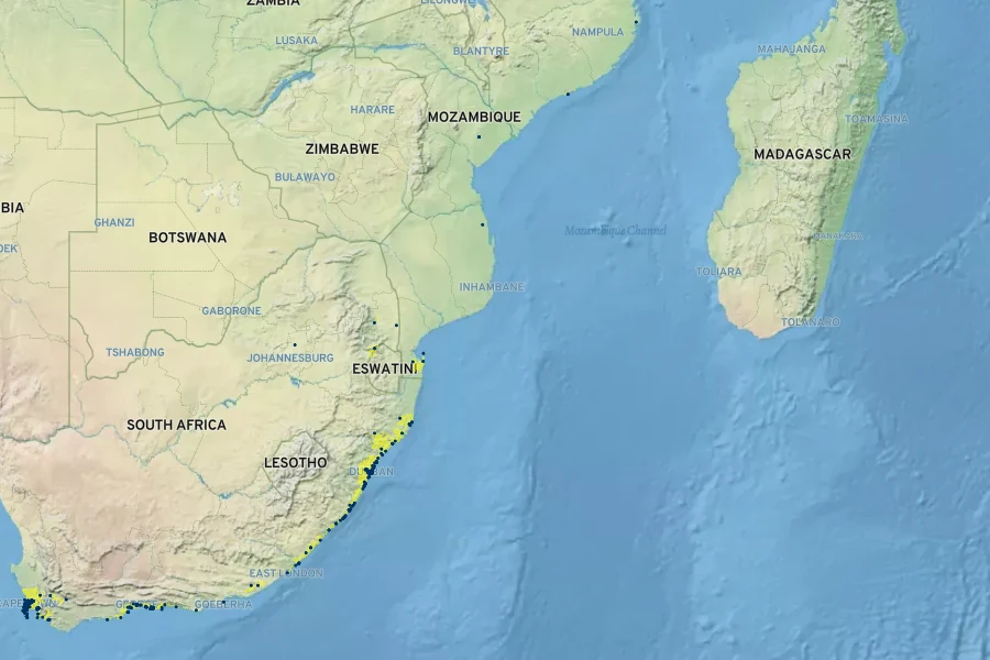 Carissa macrocarpa Native Range