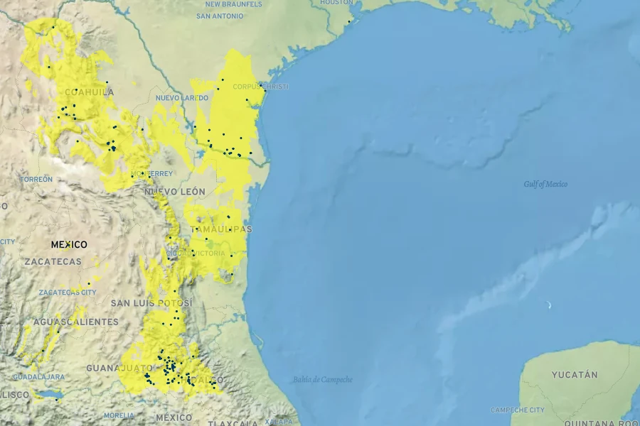 Carlowrightia parviflora Native Range