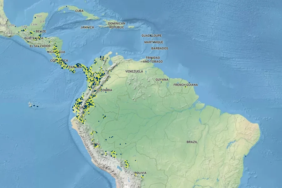 Carludovica palmata Native Range