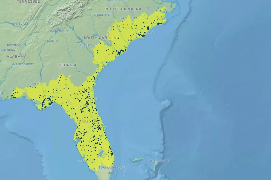 Carphephorus paniculatus Native Range