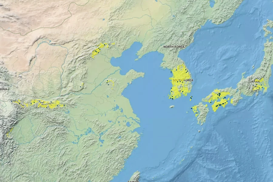 Carpinus turczaninovii Native Range