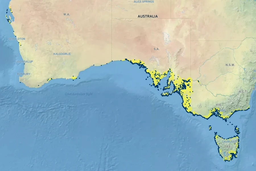 Carpobrotus rossii Native Range