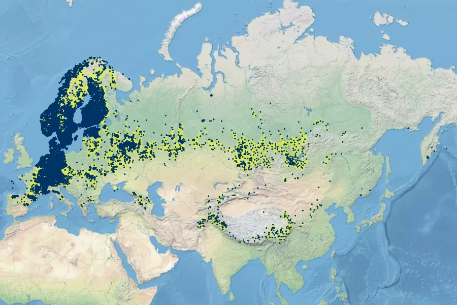 Carum carvi Native Range