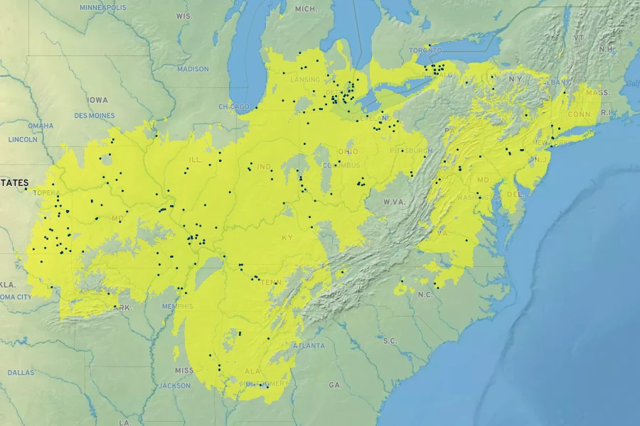 Carya laciniosa Native Range