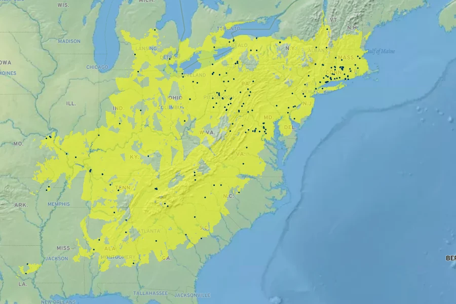 Carya ovalis Native Range
