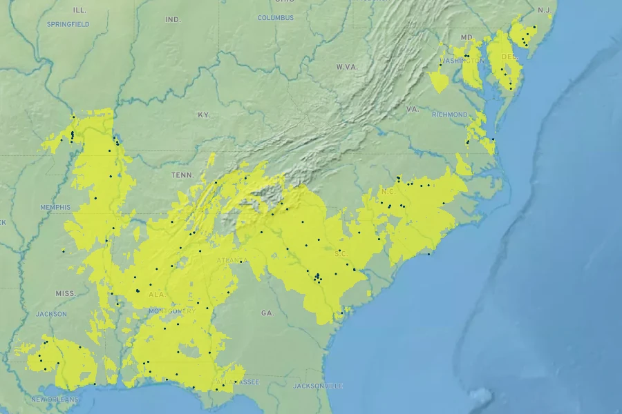 Carya pallida Native Range