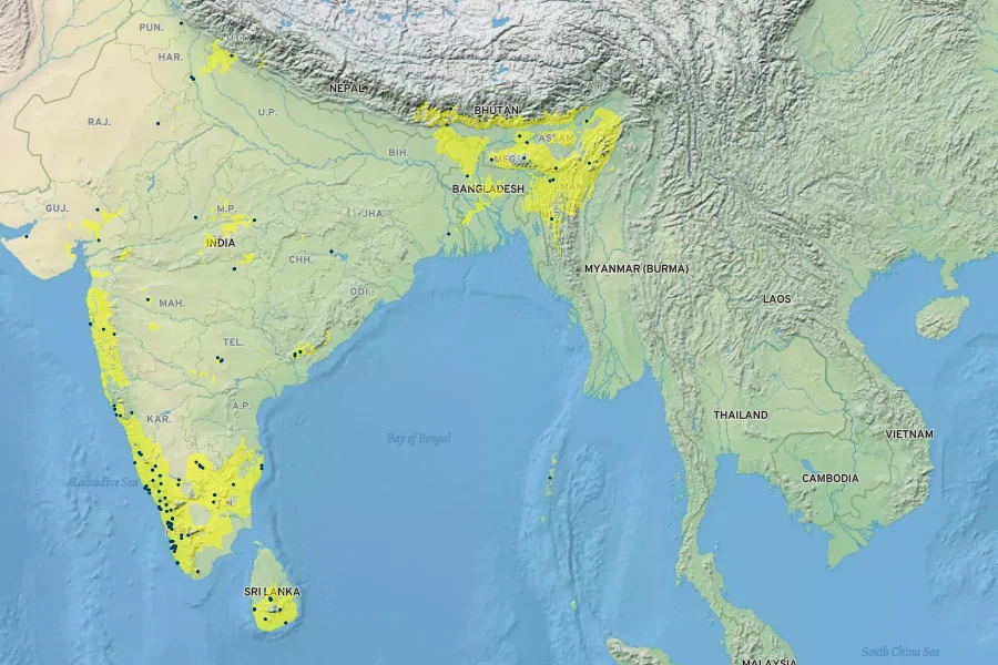 Caryota urens Native Range