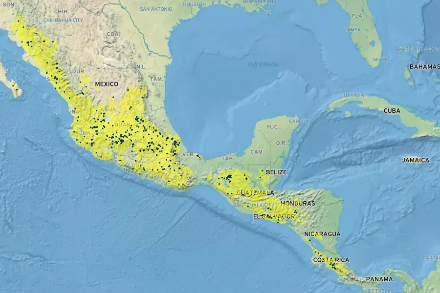 Casimiroa edulis Native Range