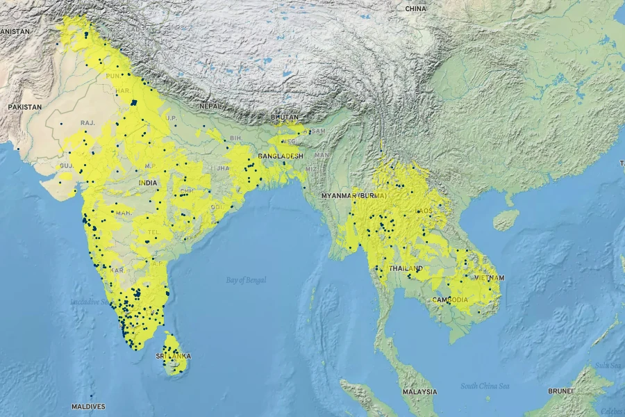 Cassia fistula Native Range