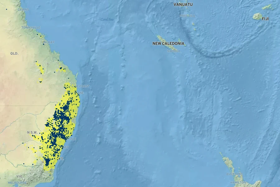 Cassinia quinquefaria Native Range