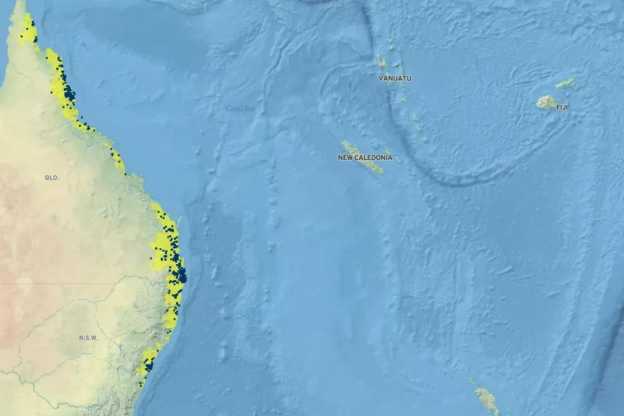 Castanospermum australe Native Range