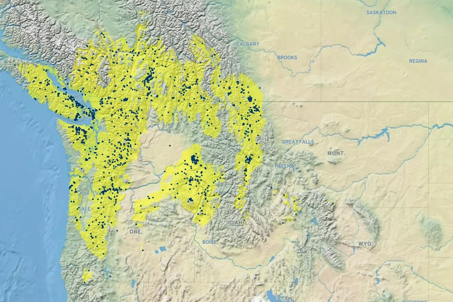 Castilleja hispida Native Range