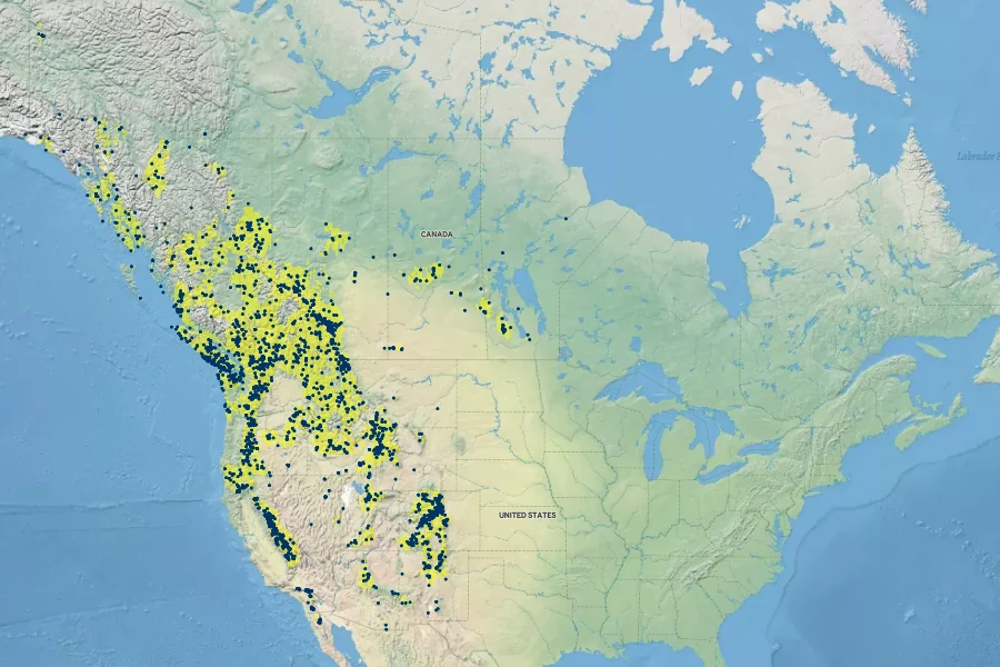Castilleja miniata Native Range