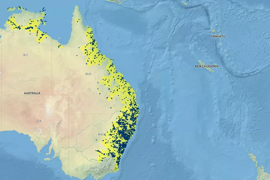 Casuarina cunninghamiana Native Range