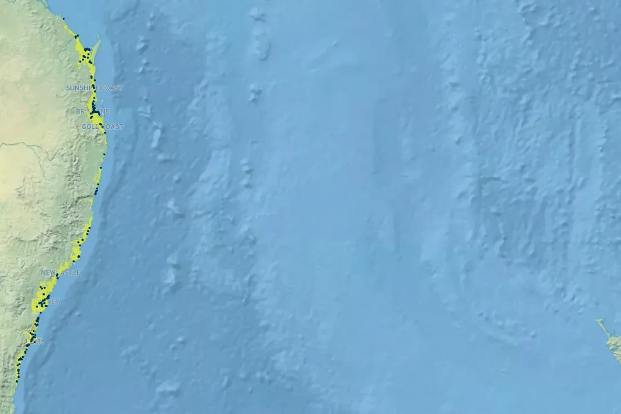 Casuarina glauca Native Range