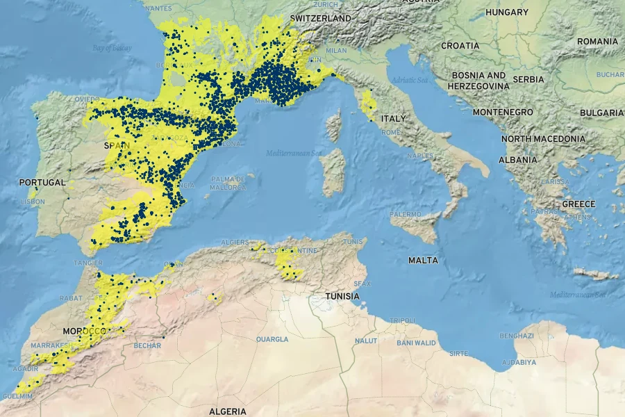 Catananche caerulea Native Range