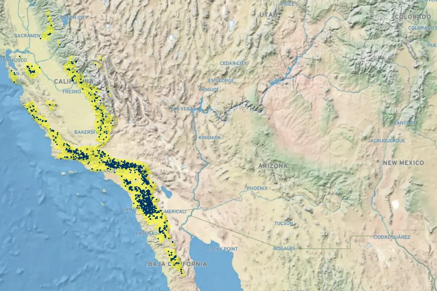 Ceanothus leucodermis Native Range