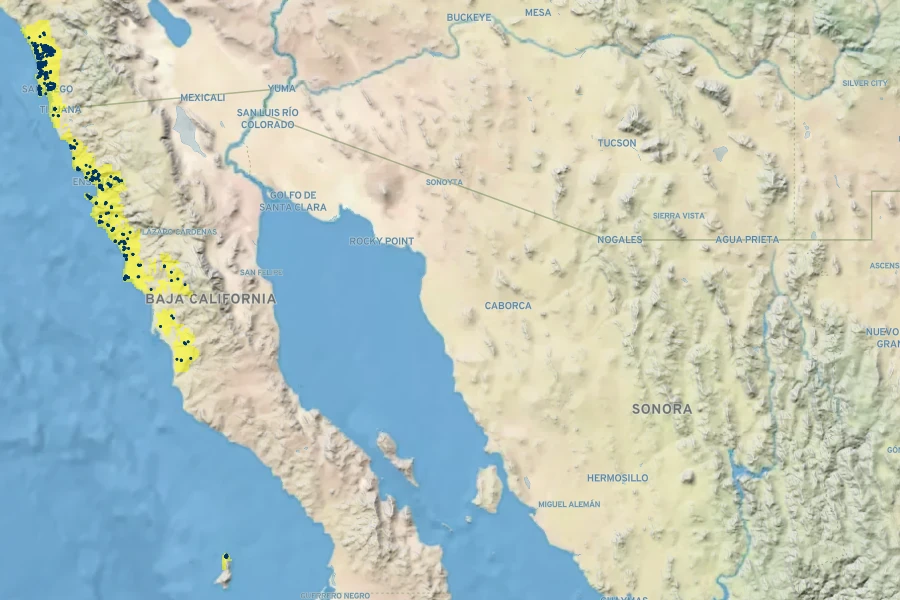 Ceanothus verrucosus Native Range