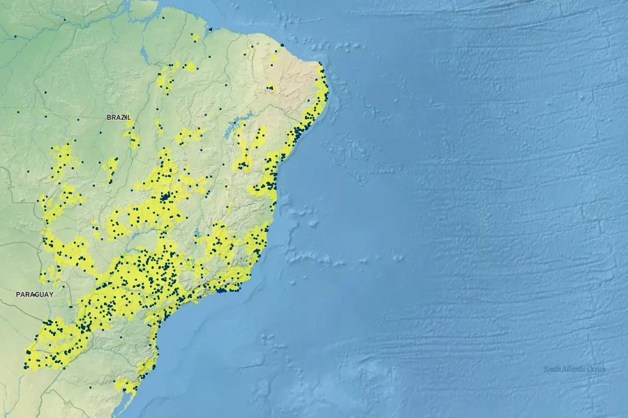 Cecropia pachystachya Native Range