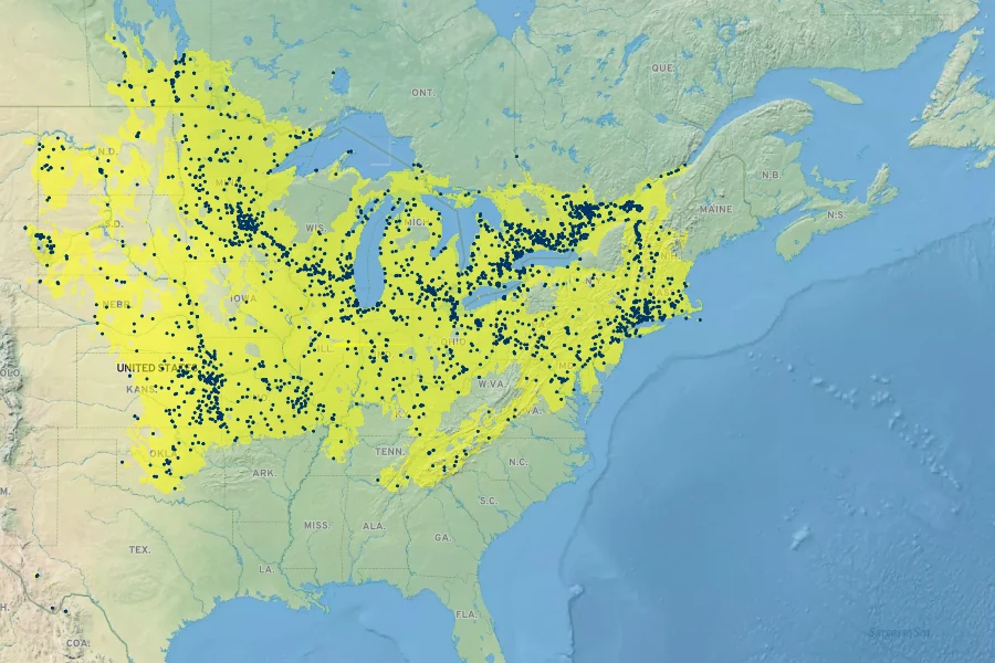 Celastrus scandens Native Range