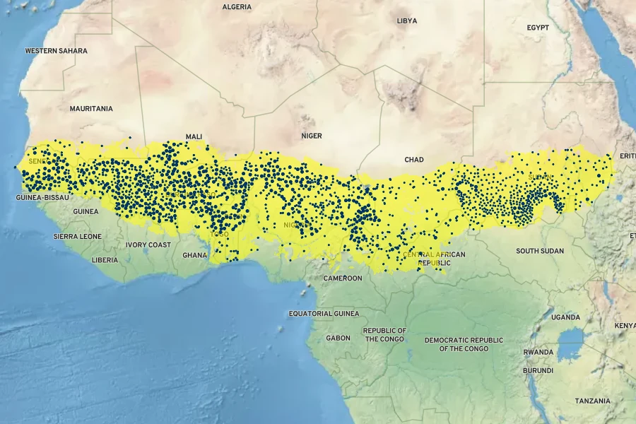 Cenchrus americanus Native Range